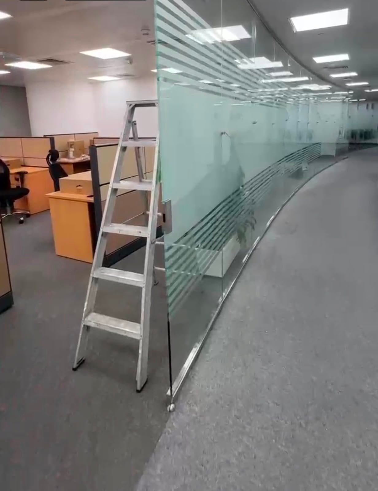 Frosted glass office partition installed in Abu Dhabi